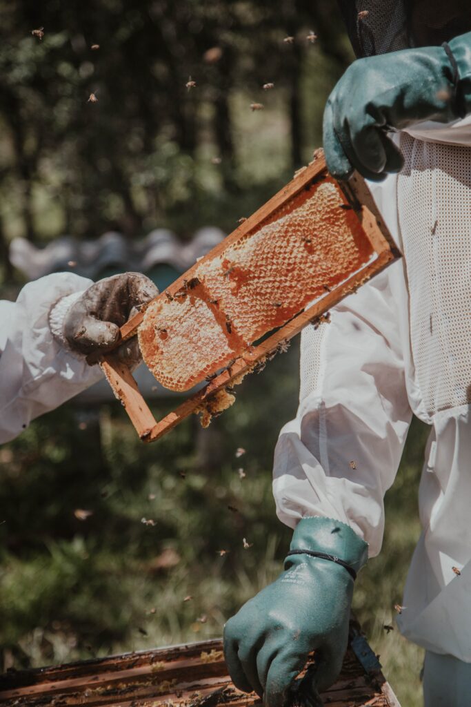 propolis verde